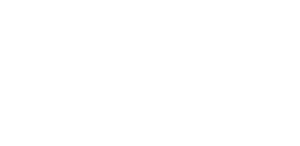 Octupus Ventures logo