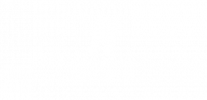 Puhua Capital Investment logo
