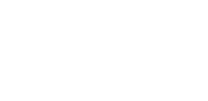 Delin Ventures Logo